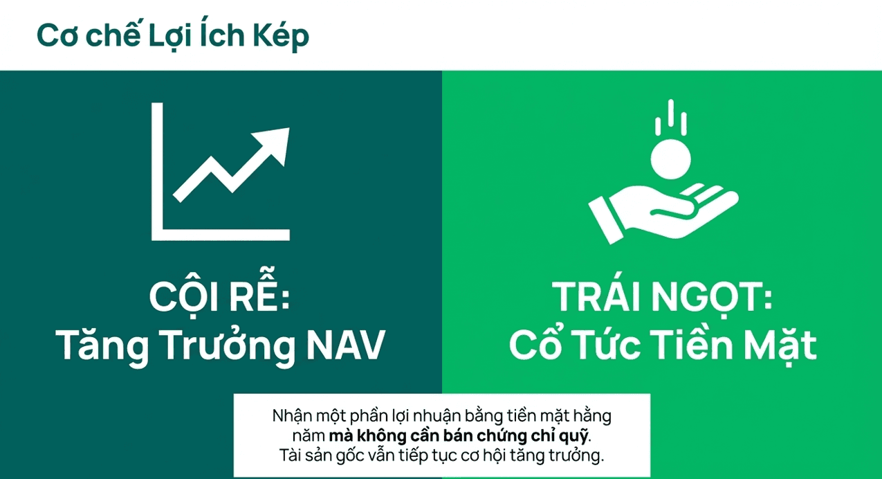 DCDe vừa tăng trưởng NAV vừa có cổ tức tiền mặt