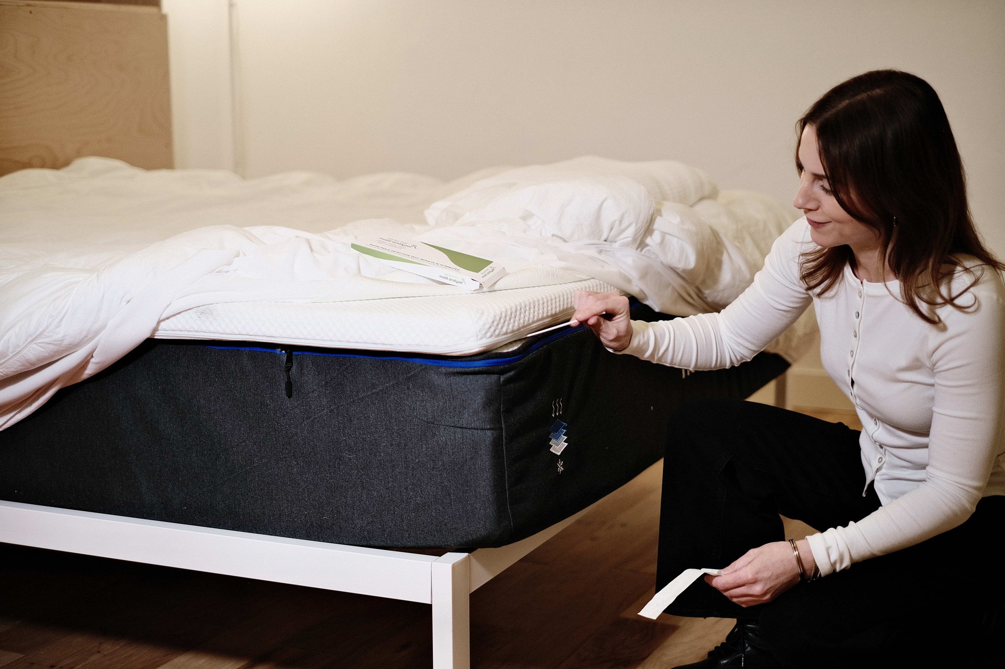 Mold Analyzer Test Cassette shown for clear and accurate mold testing at home