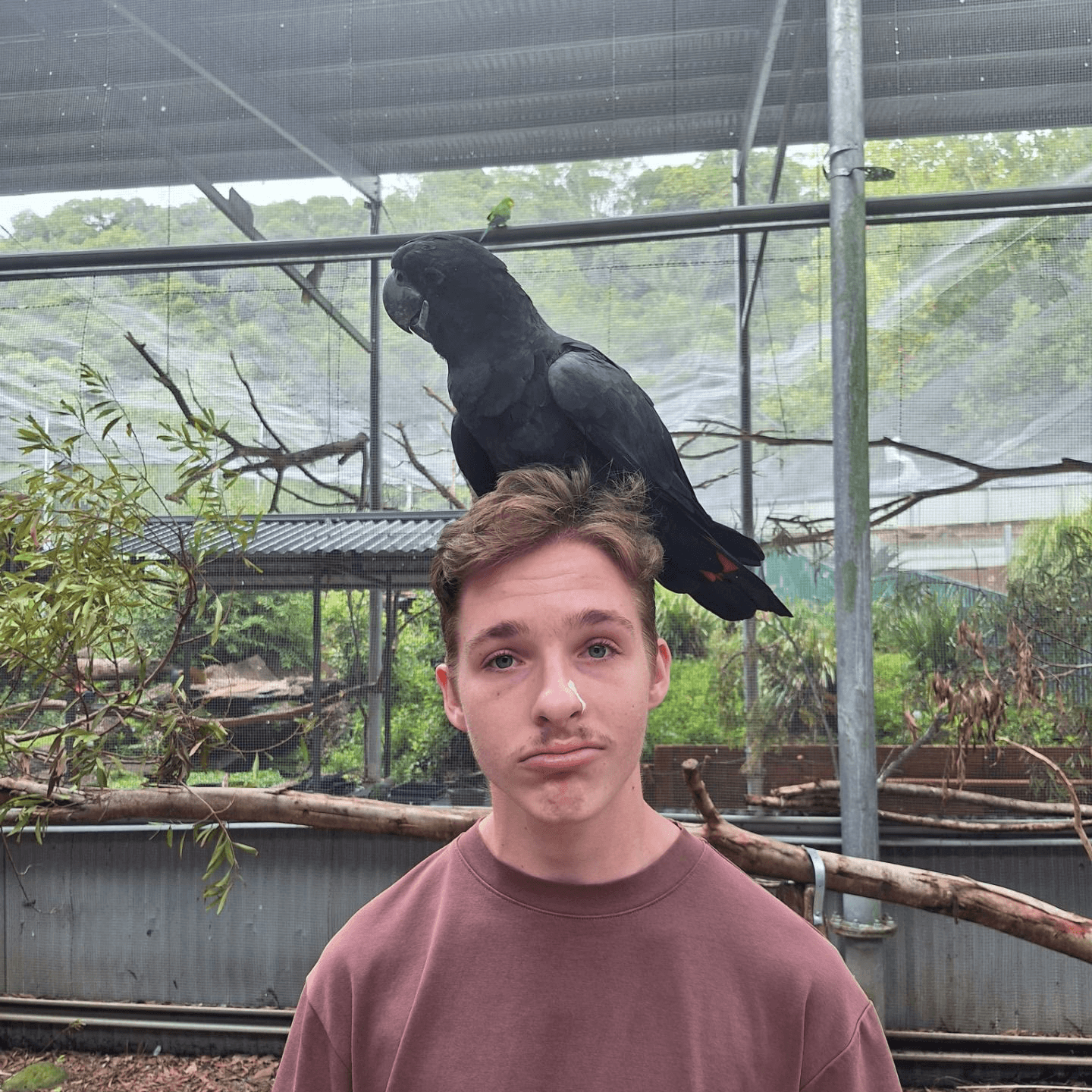 Photo of Dylan Coleman, a Graphic Designer and Brand Developer, with a bird perched on his head