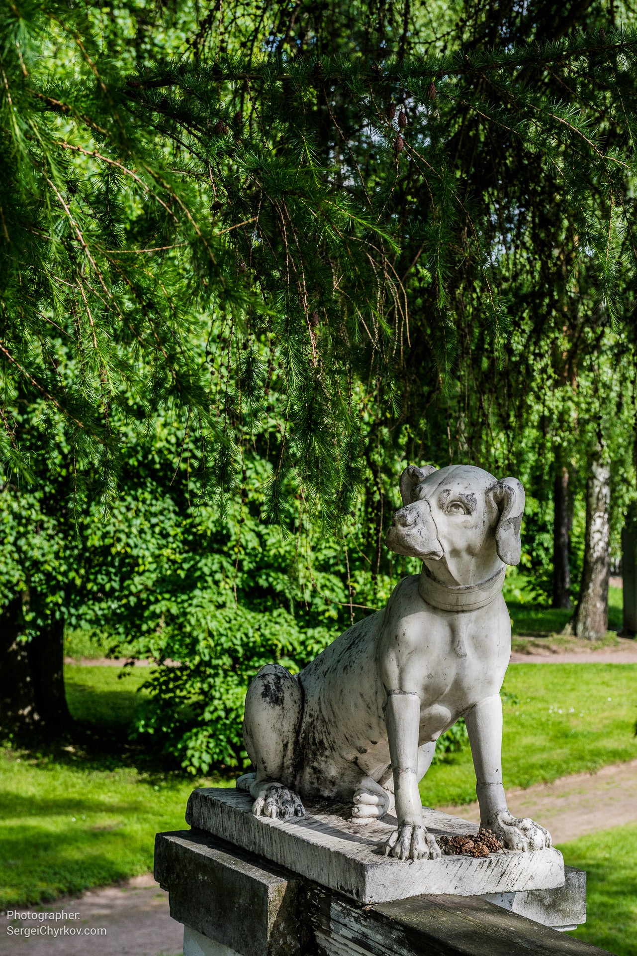 Усадьба Архангельское. Фотограф Сергей Чирков