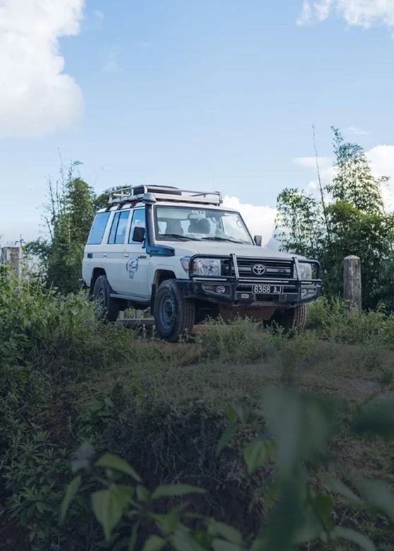 Van across a green field