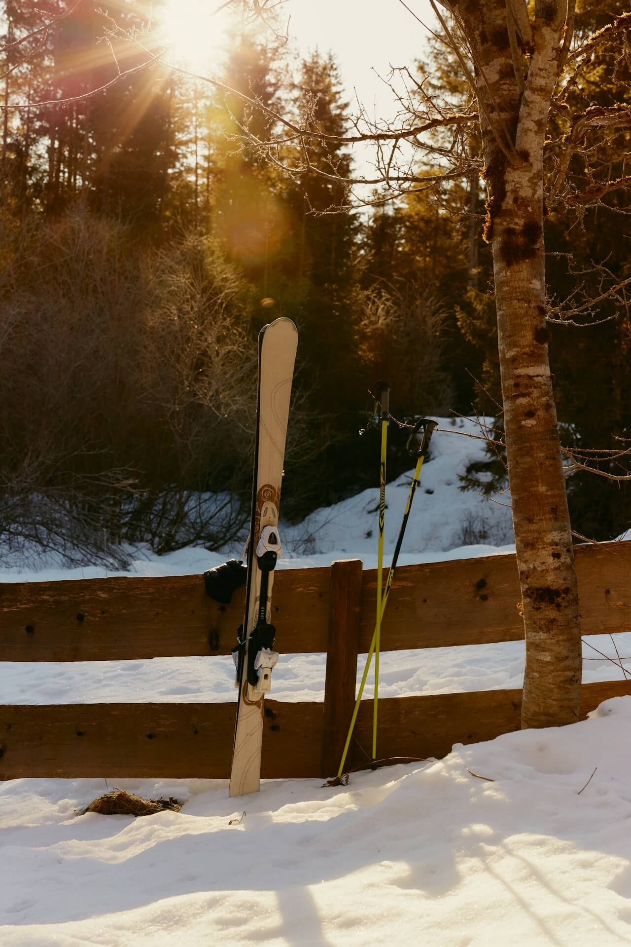 Skis and poles rest against a wooden fence in a snowy landscape. Sunlight filters through trees, creating a peaceful, warm glow.