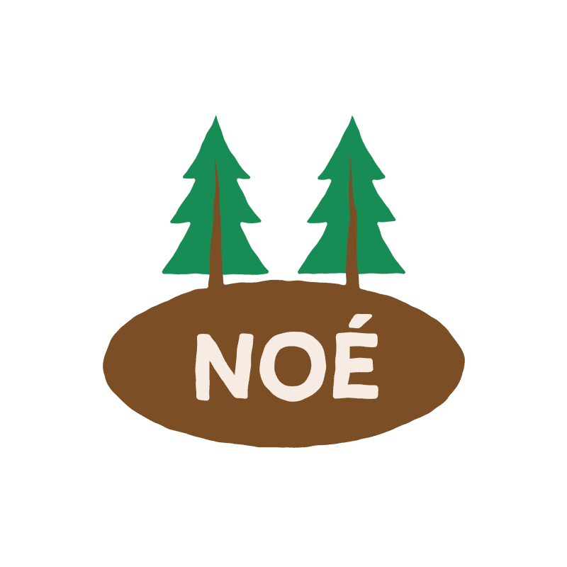 Illustration d'un cadre fait sur-mesure avec le prénom "Noé" moyen.