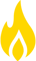 Vector