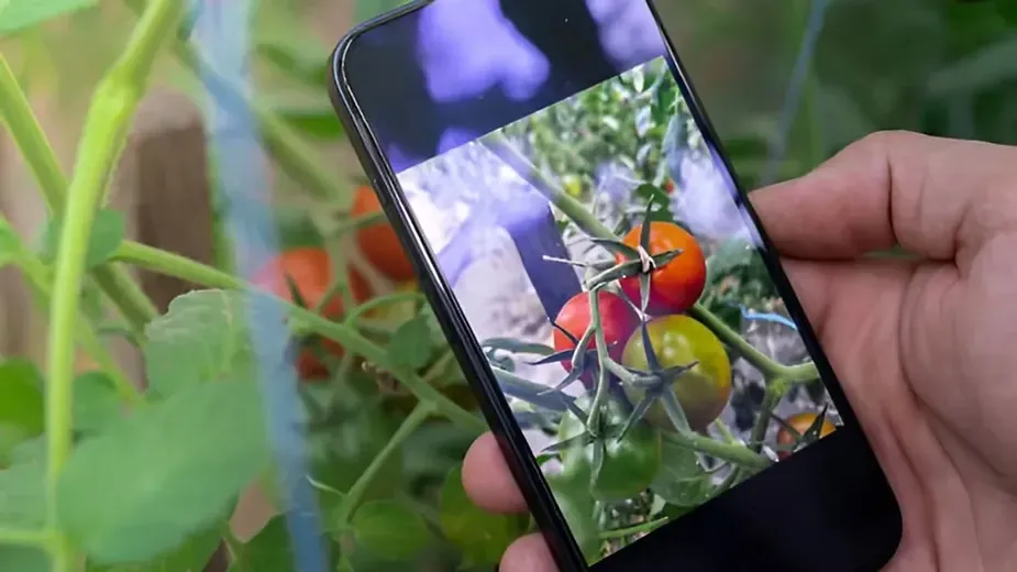 farm marketing solutions.webp