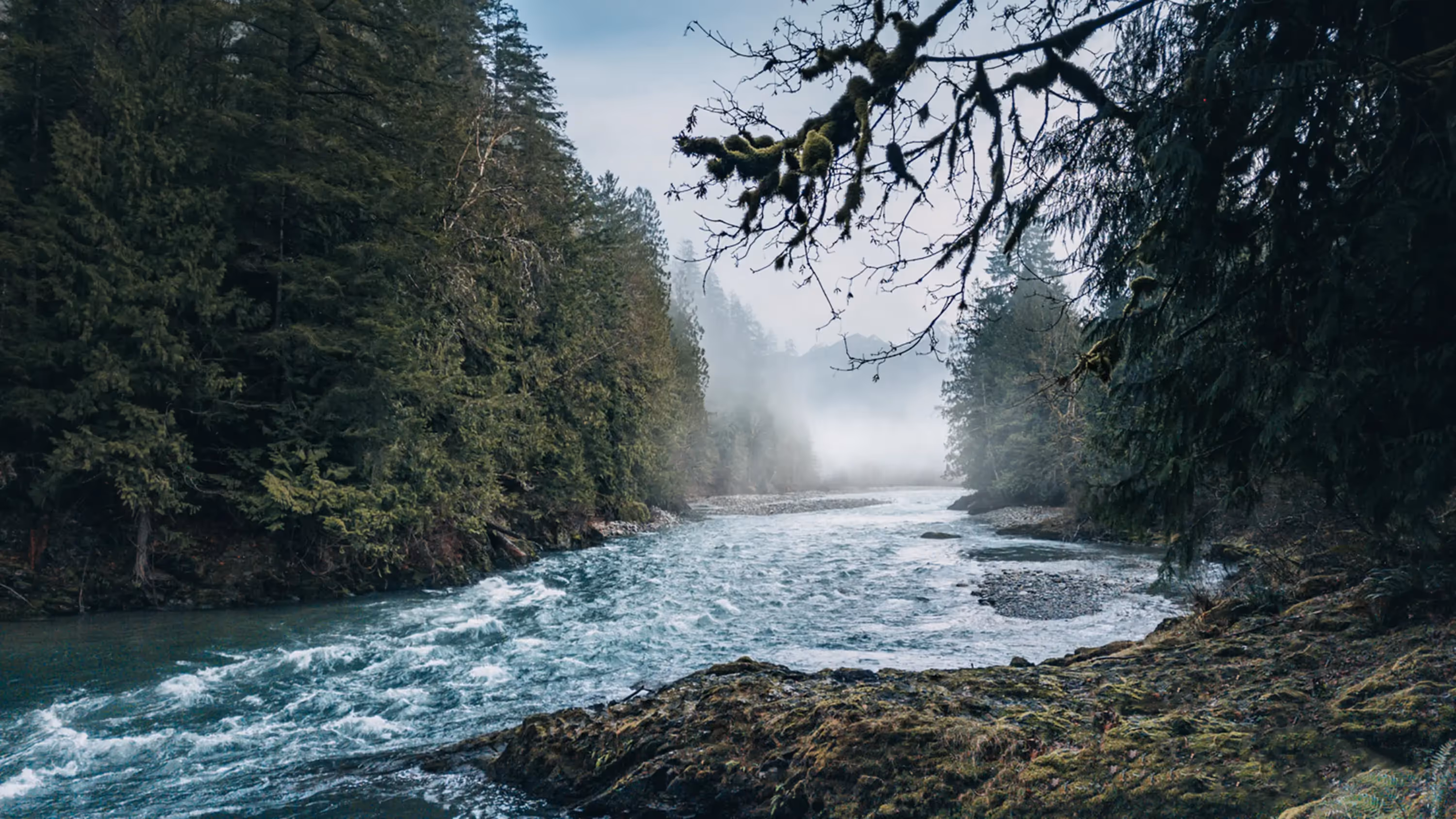 Seek Optimal landscape photography showing the project environment and outdoor setting