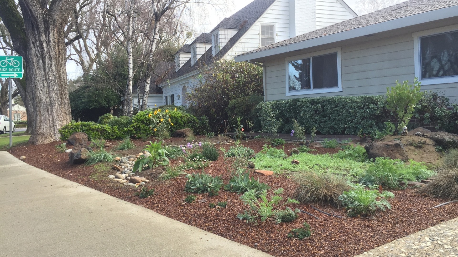 Front Yard Garden