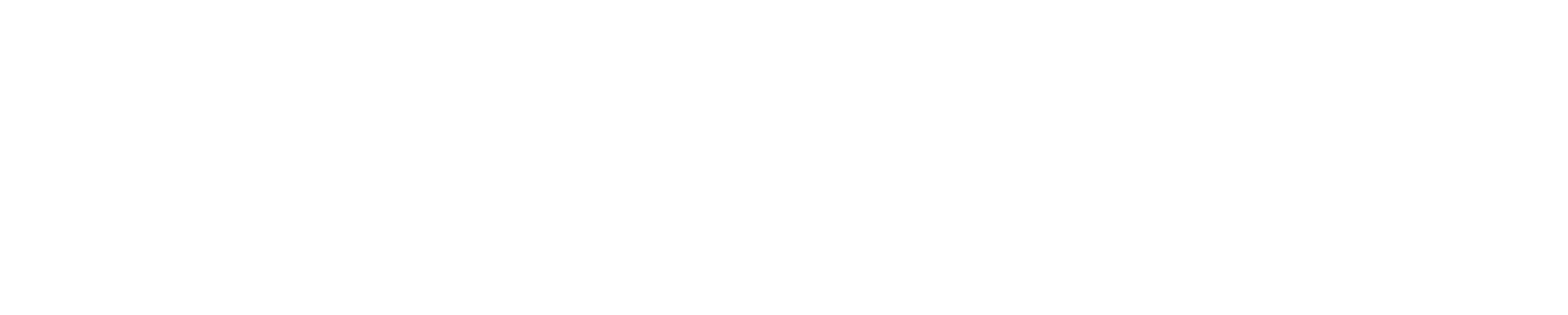 logo partner airvolute