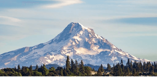 A group of four people standing outside a building, engaging in conversation, with cars parked nearby.