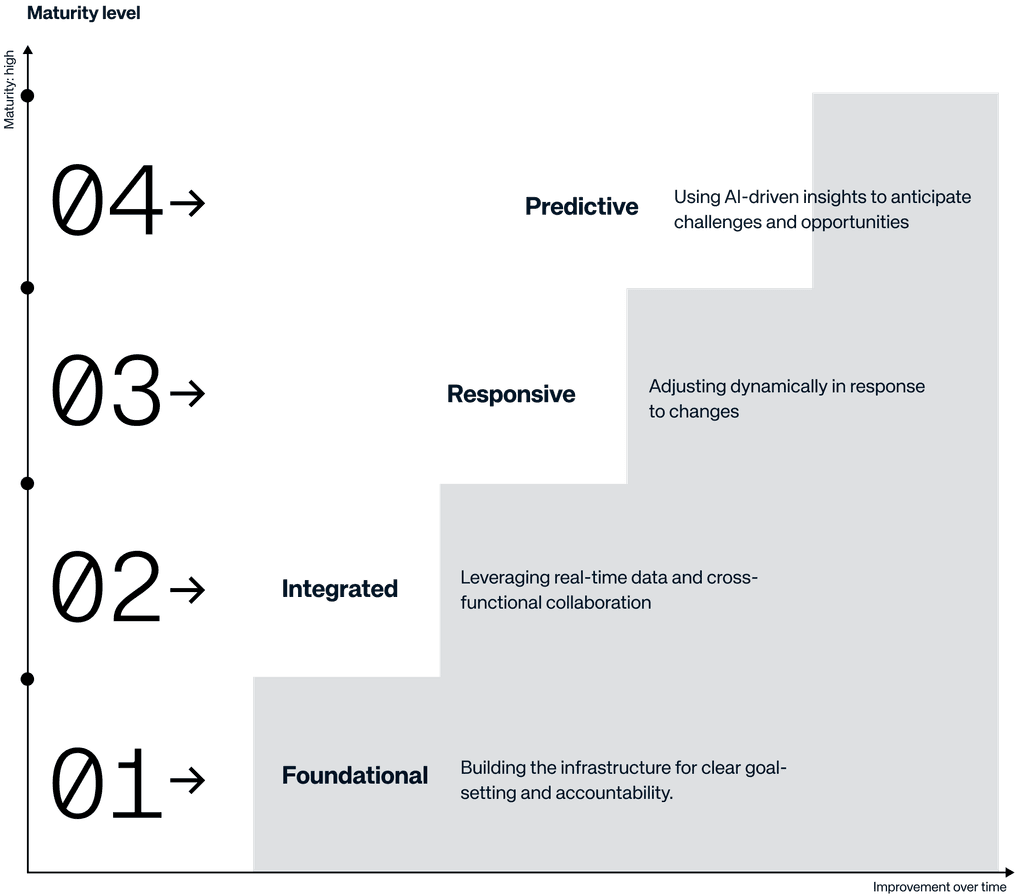 Adaptive Strategies maturity model