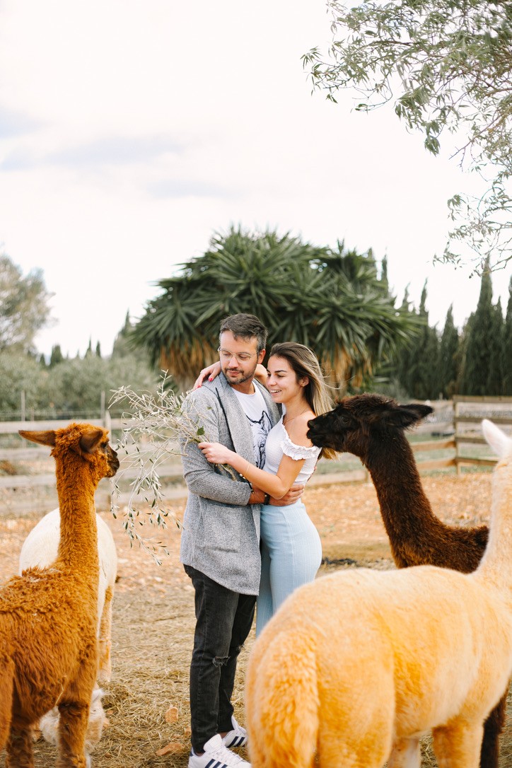 A groom in a dark suit carries a bride in a white dress across a sunny, grassy field. The couple shares a joyful, intimate moment with trees in the background.