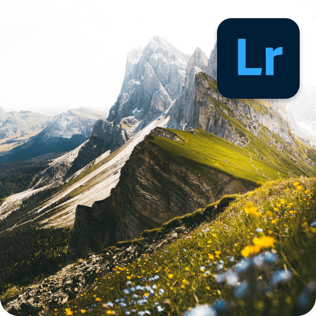 A field of colorful flowers on a slope with green and grey mountains in the background