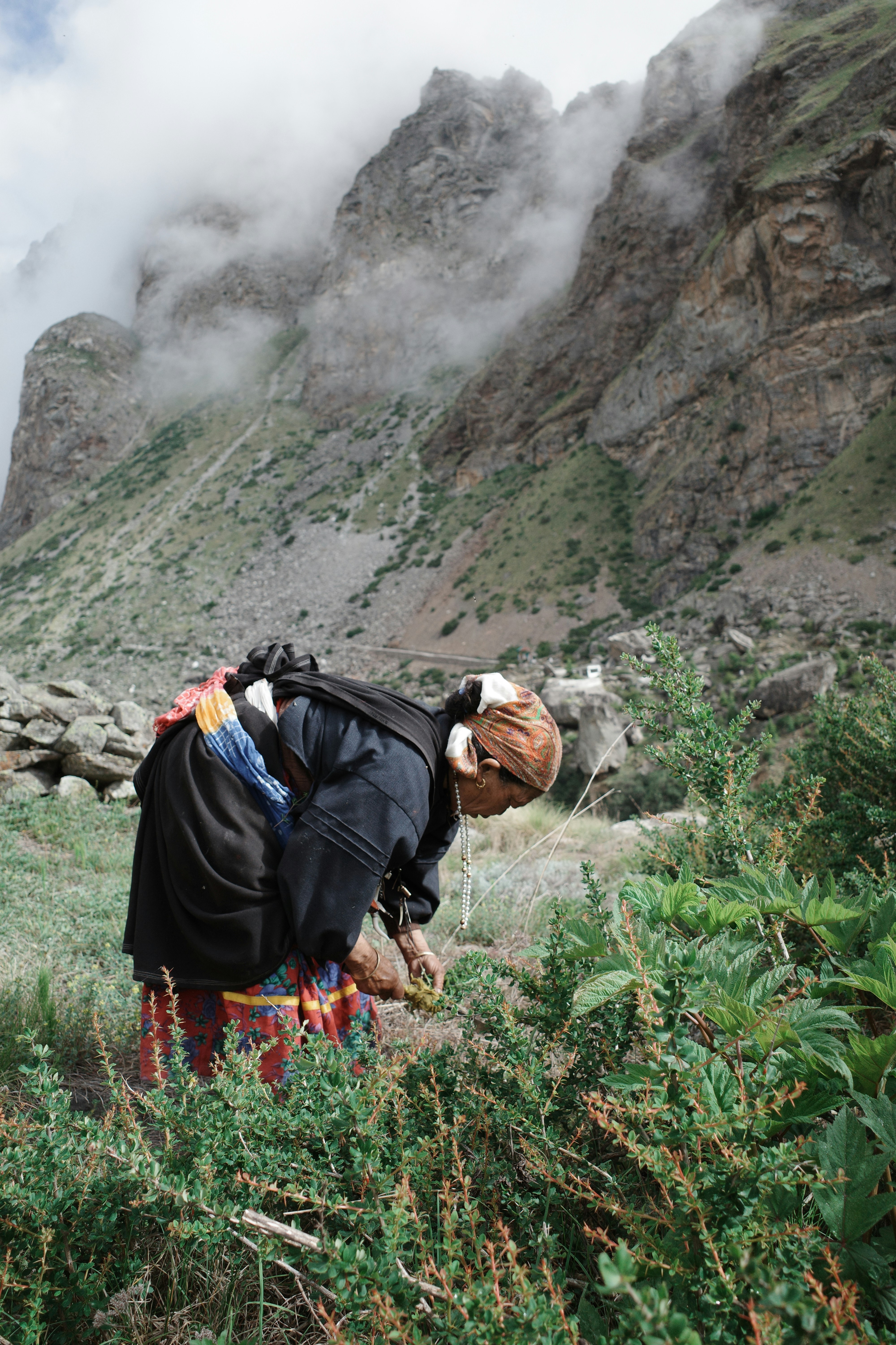 Uttarakhand lady working in field
