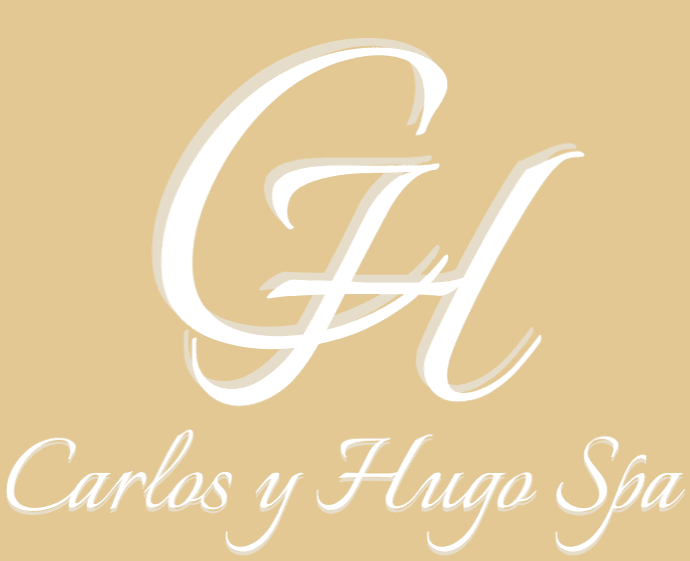 Logo de Peluquería Carlos y Hugo Spa en Arequipa