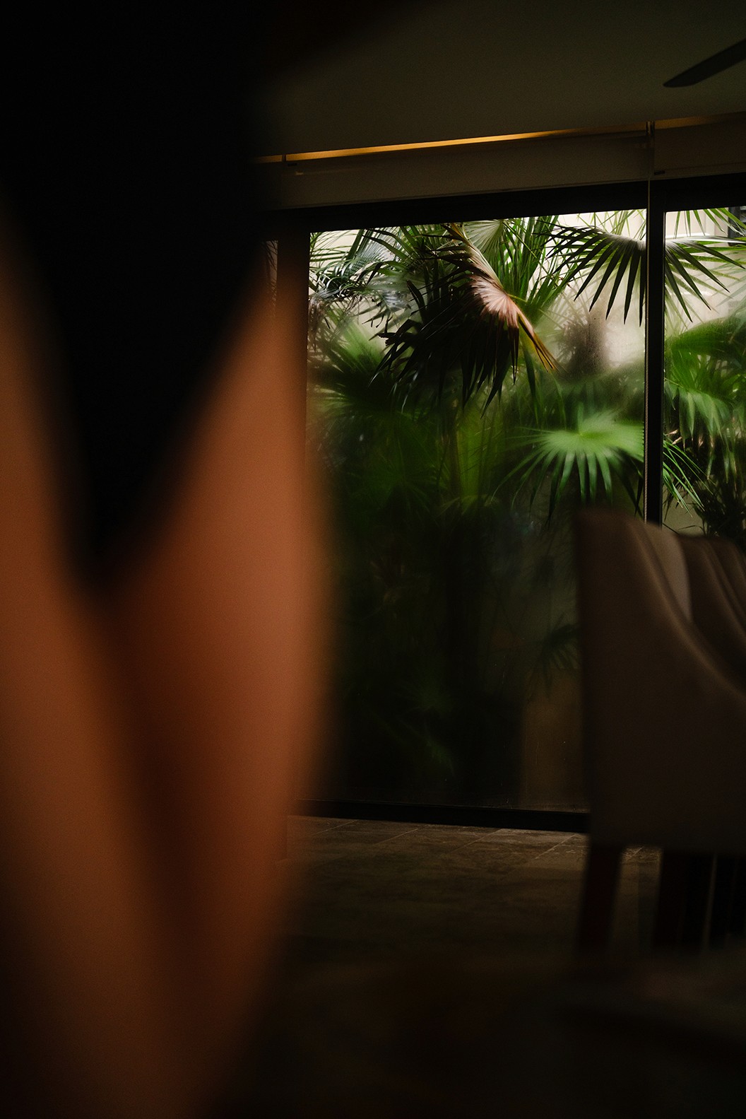 Moody Jungle Vibes