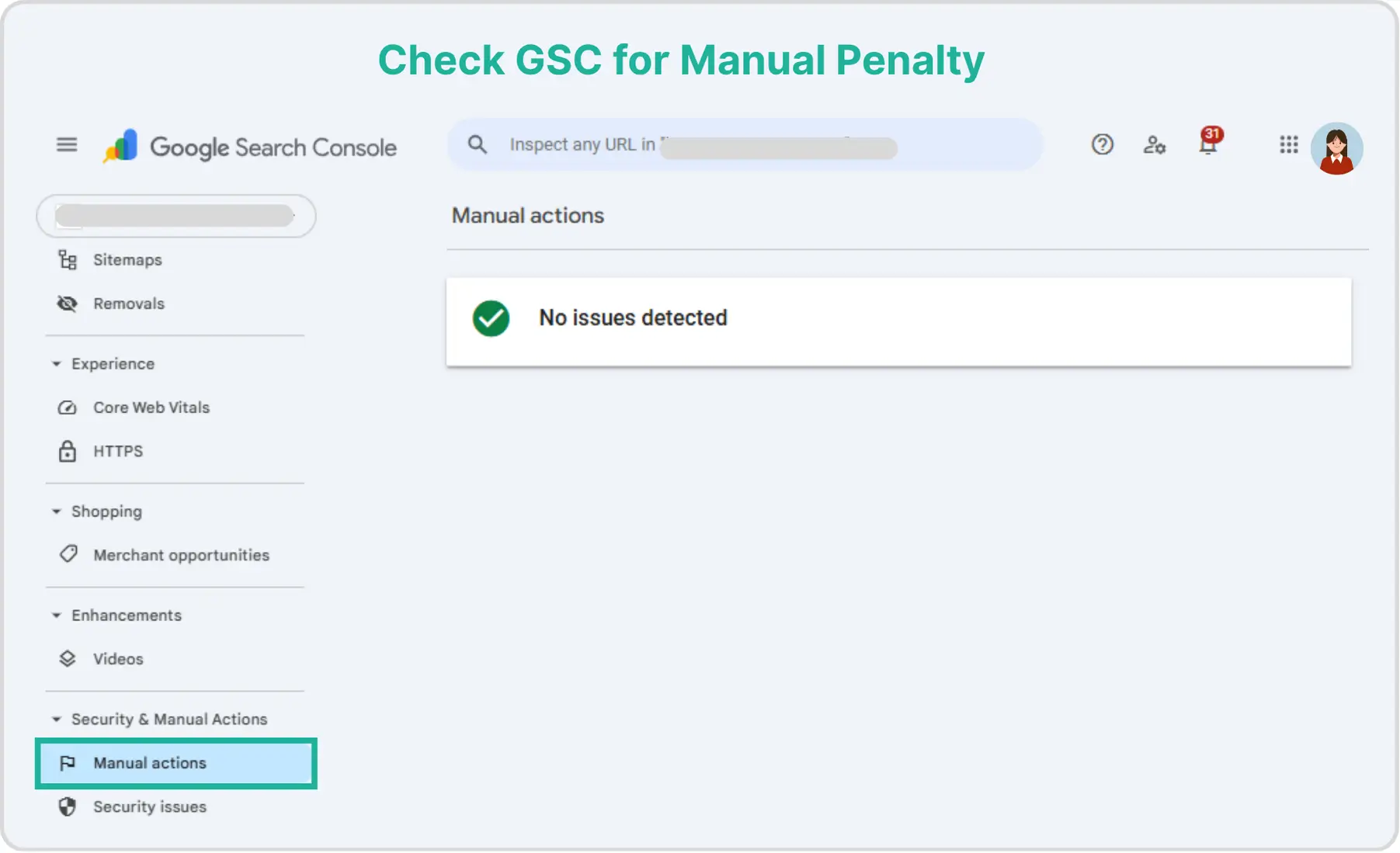 Google Search Console image showing Manual penalties
