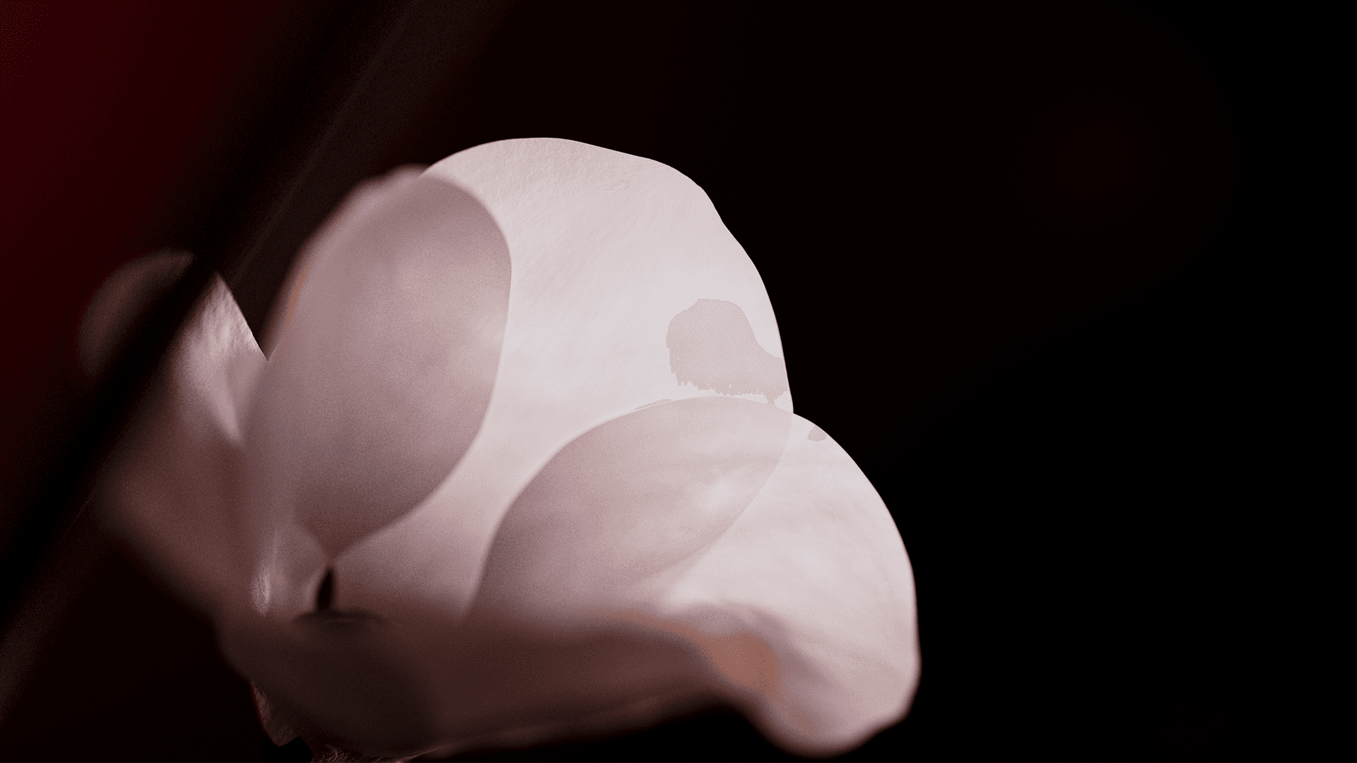 a part of a car
