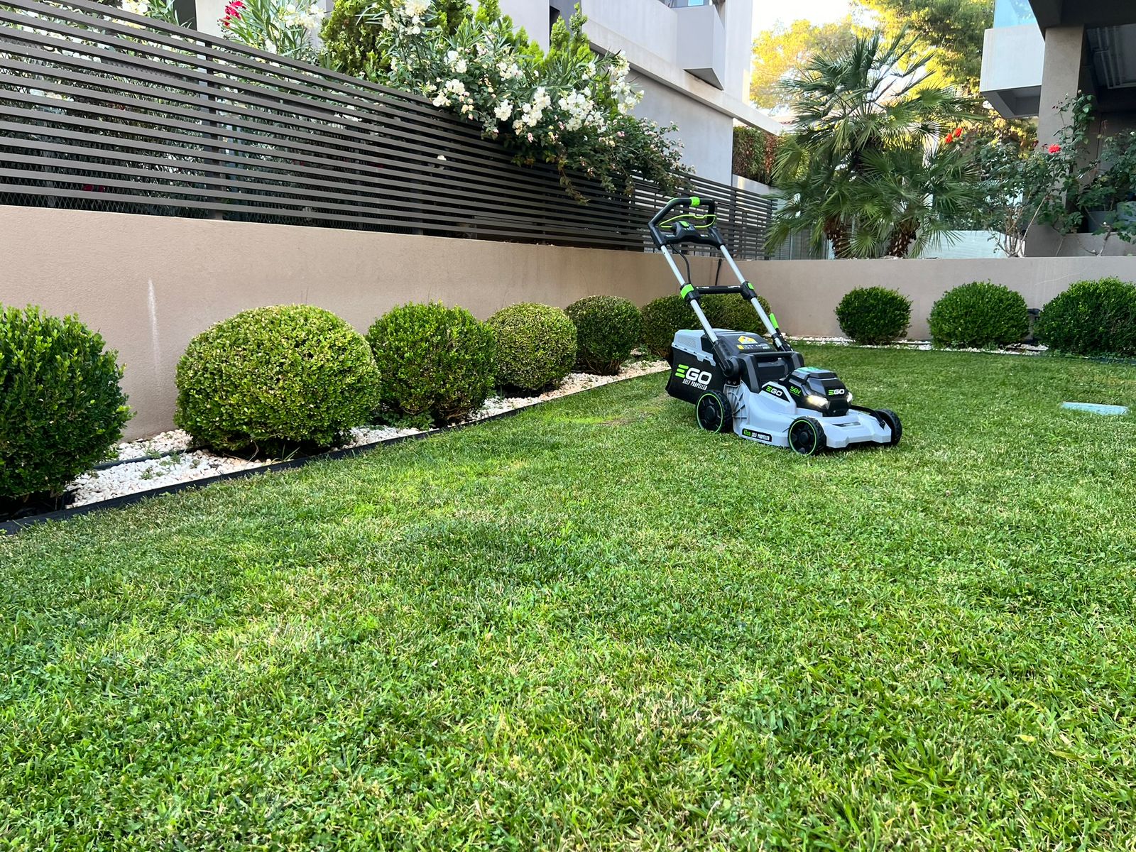 Modern landscaped garden showcasing professional outdoor design.