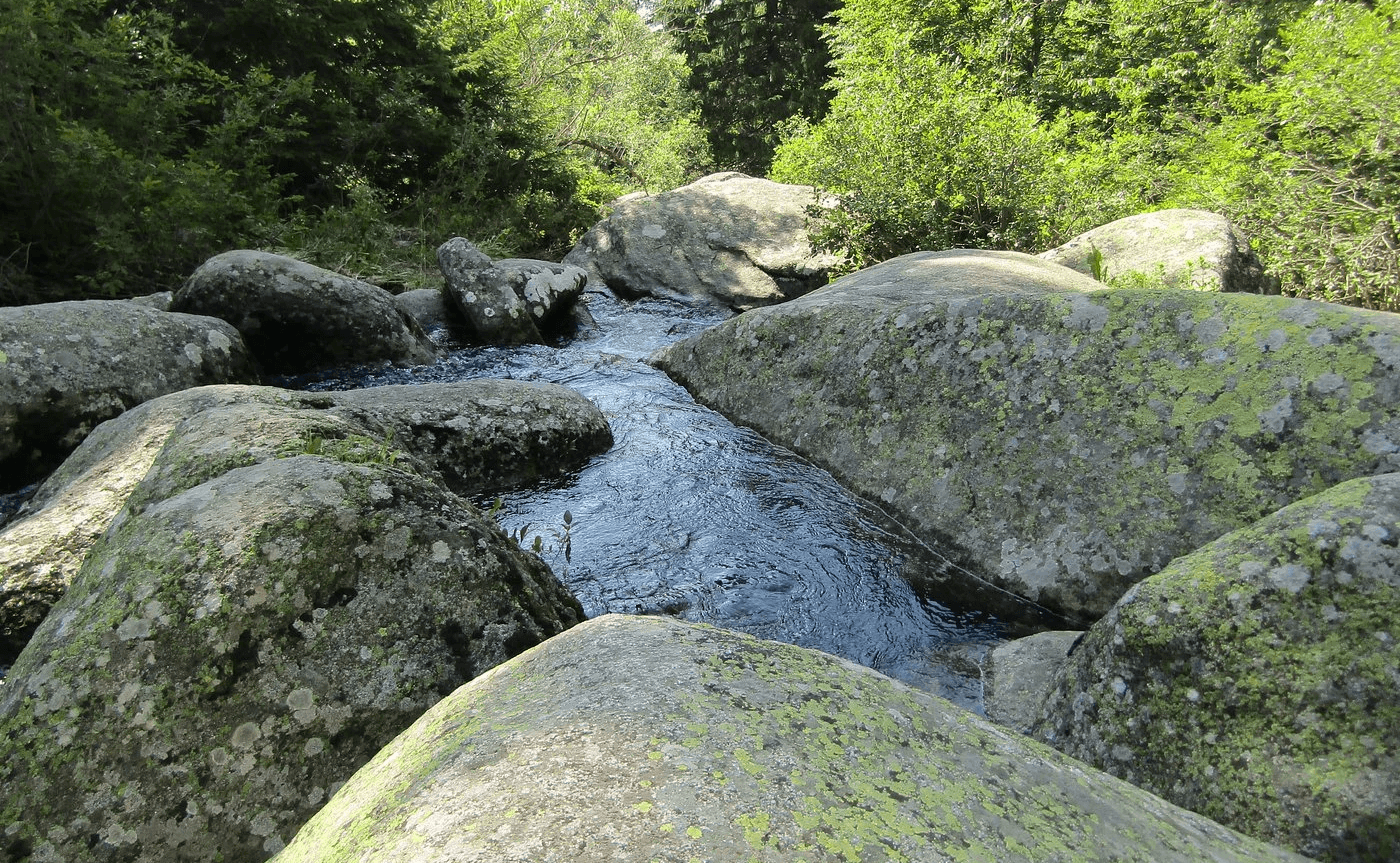  Hike Vitosha Mountain via Golden Bridges