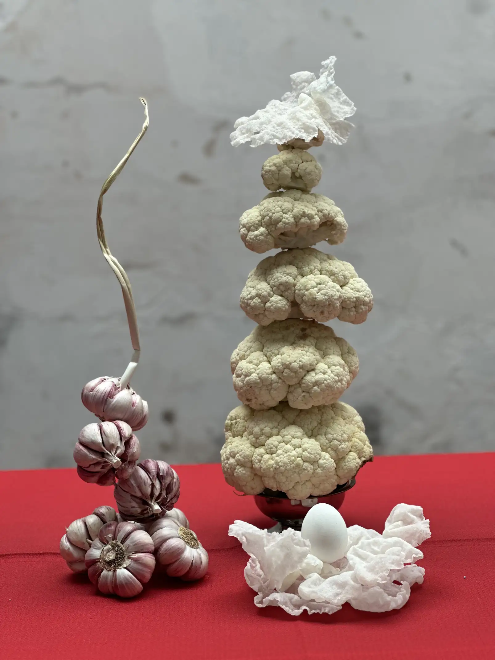 Composición de coliflores, ajos y huevo blanco sobre fondo rojo para fotografía conceptual que combina elementos naturales y minimalismo escultural.
