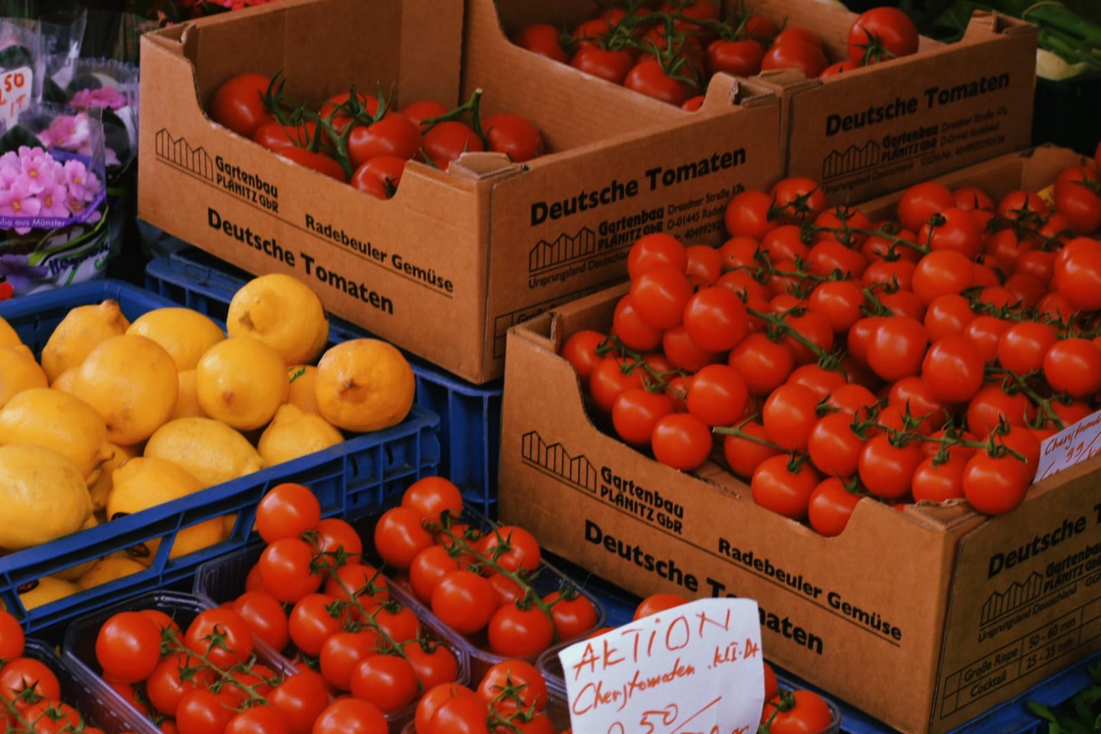 a dropping bottle with bird of paradise flower