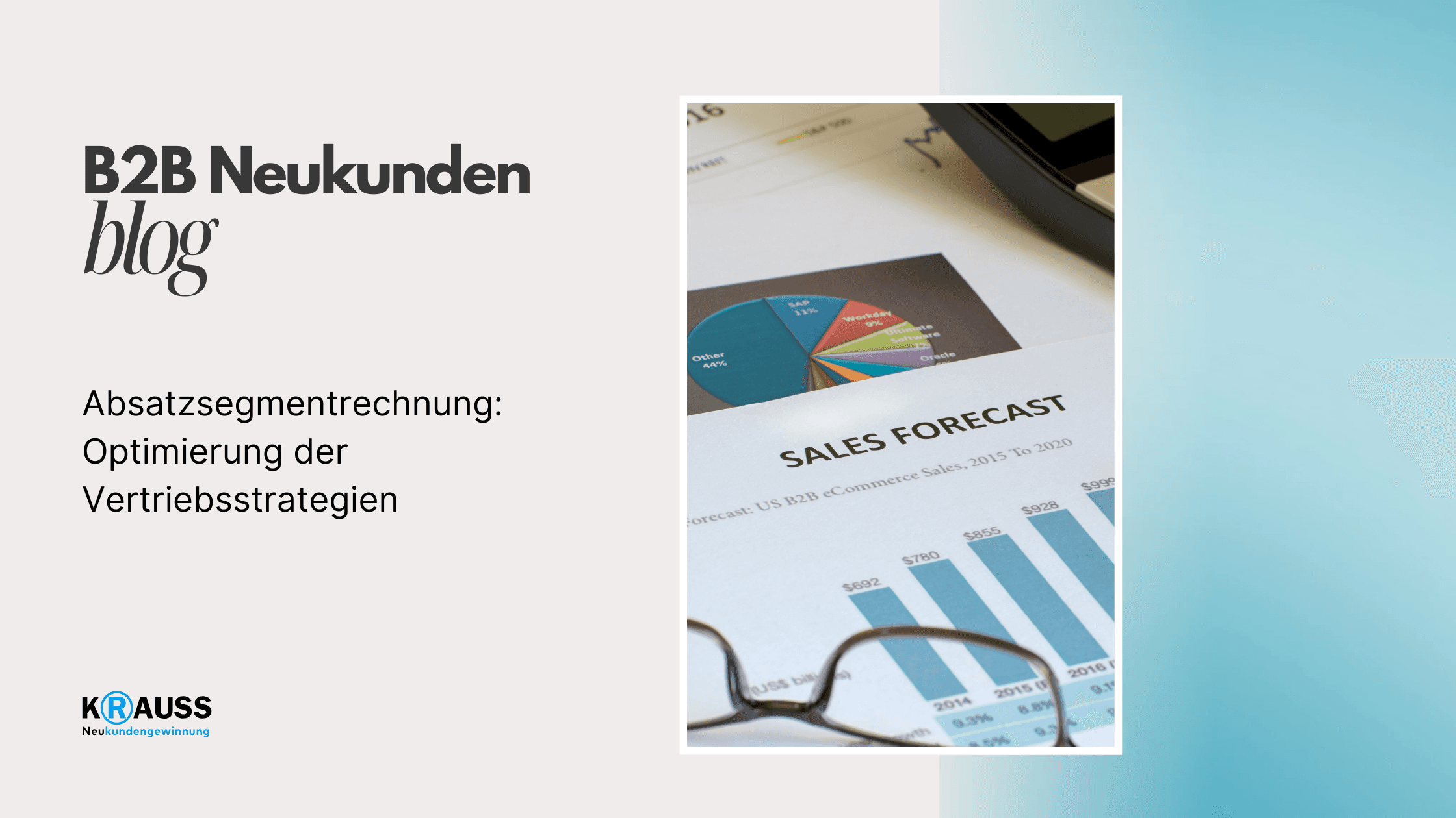 Absatzsegmentrechnung: Optimierung der Vertriebsstrategien