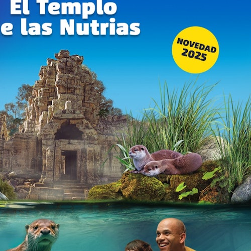 Dos nutrias descansan sobre rocas frente a un antiguo templo. Abajo, se ve a una nutria y a un hombre sonriente bajo el agua.