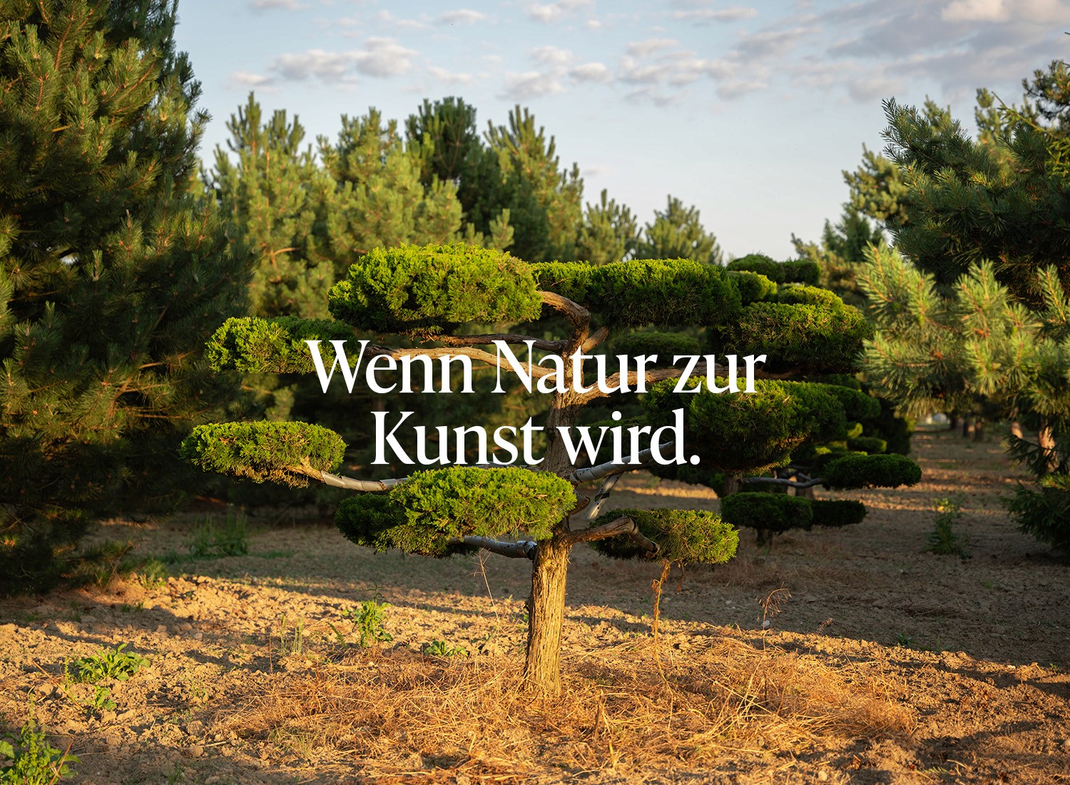 Handy auf dem eine Social Media Werbung zu sehen ist, wo sieh zwei Personen die Hand reichen.