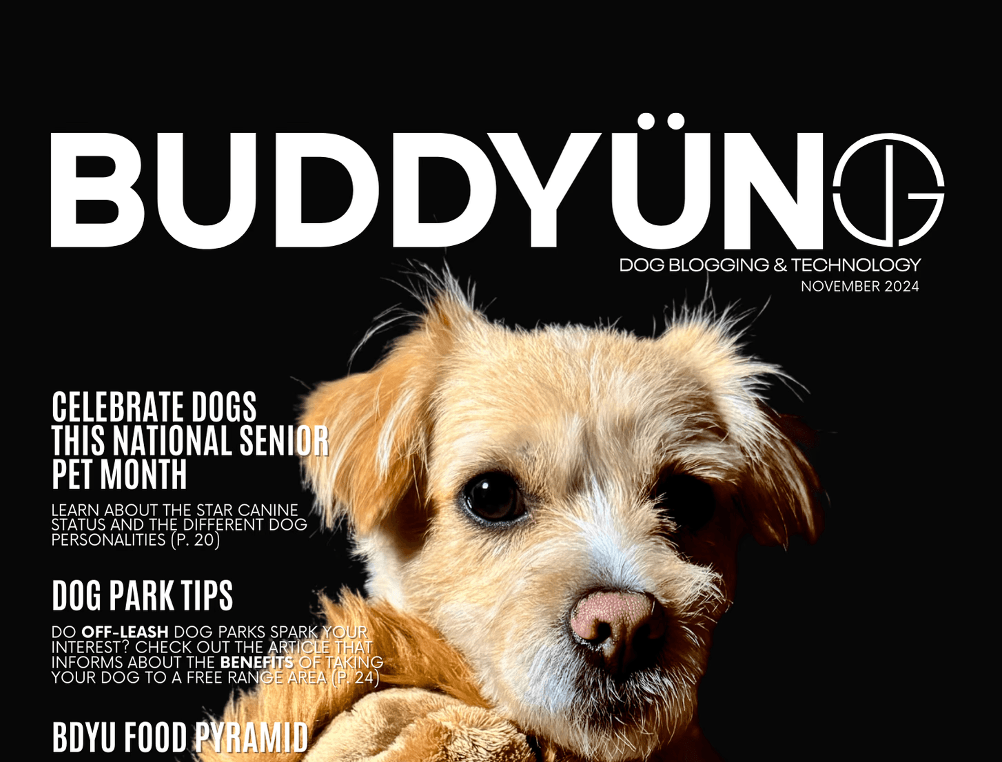 buddyuno magazine - preview cover