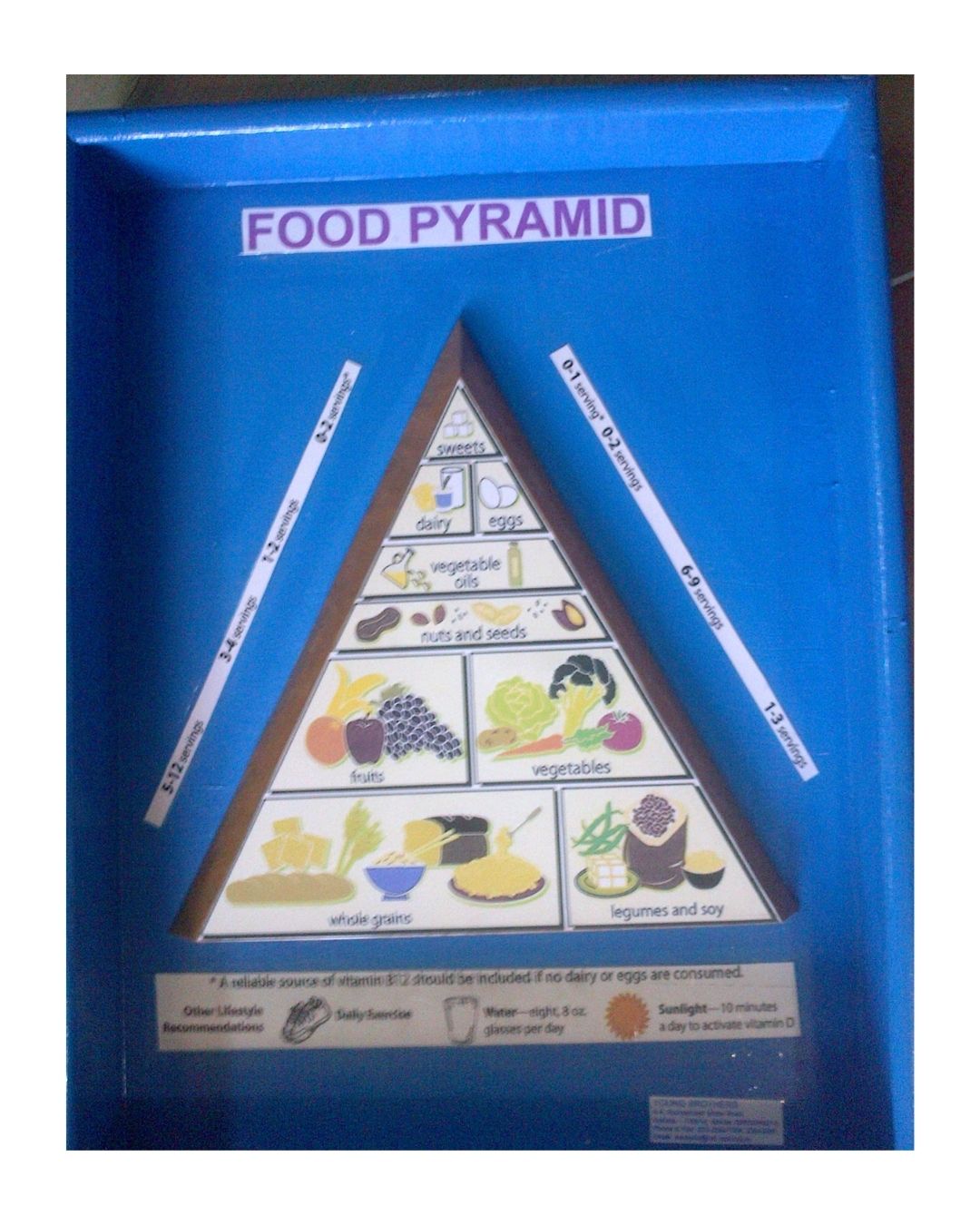 Food Pyramid
