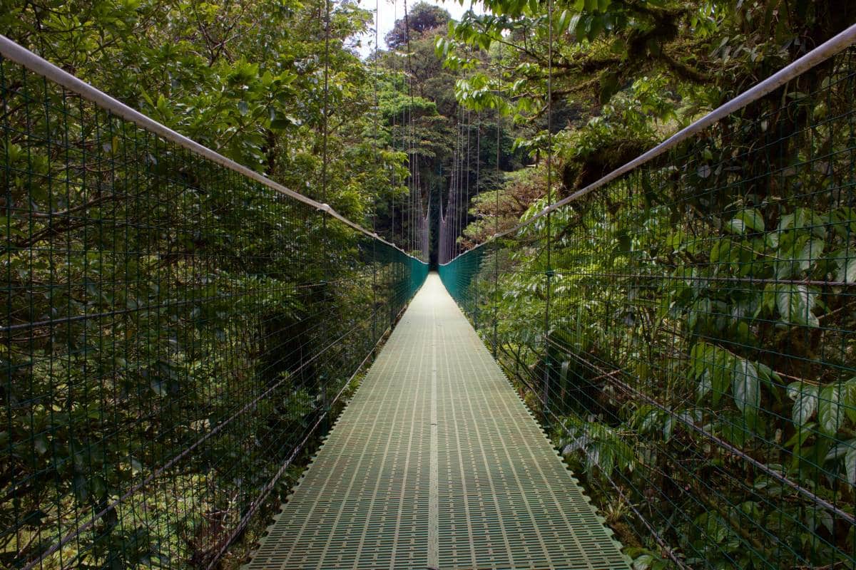 Hanging Bridge, Costa Rica