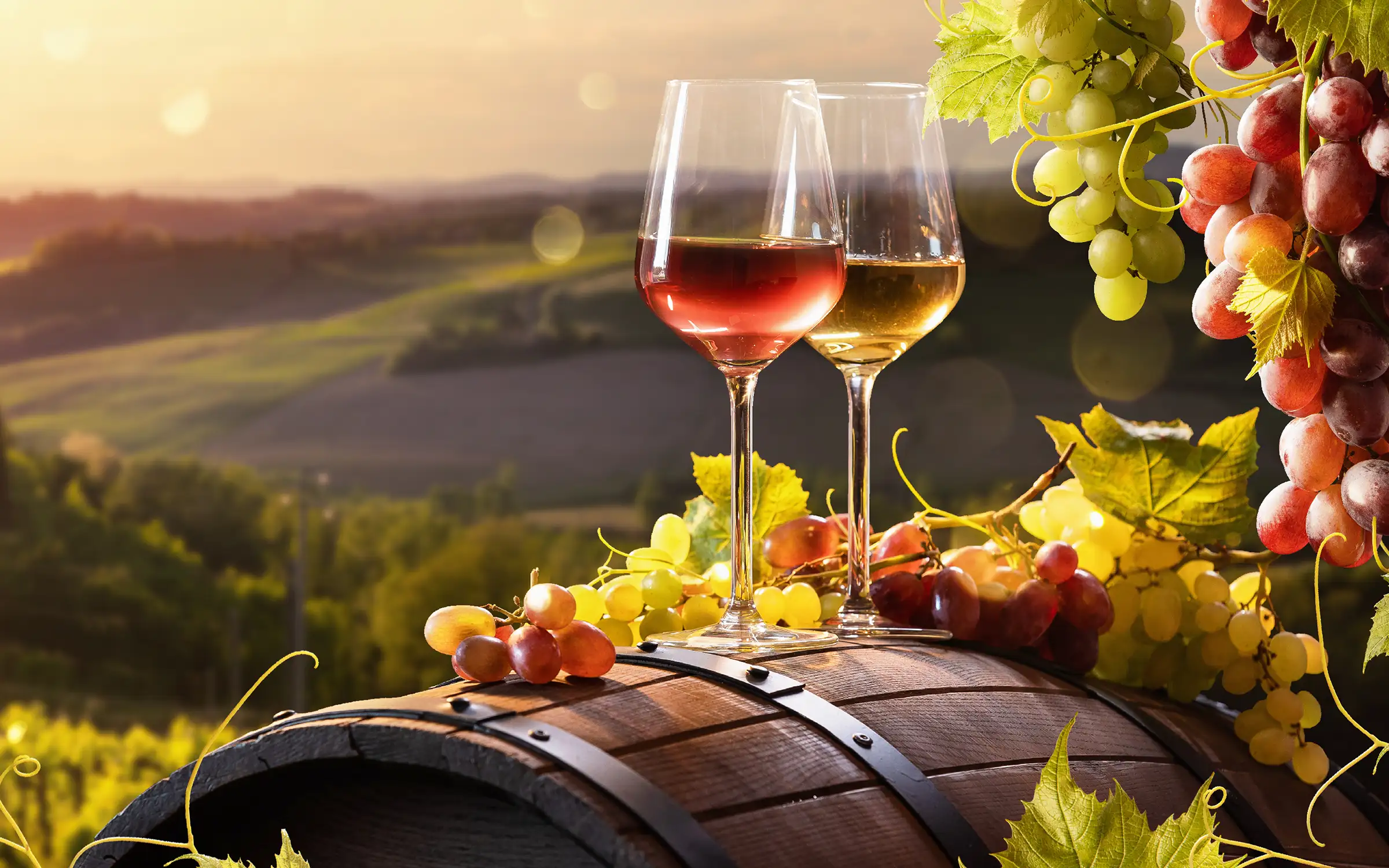 Mat- og vinturer med Expa Travel - en smak av verden