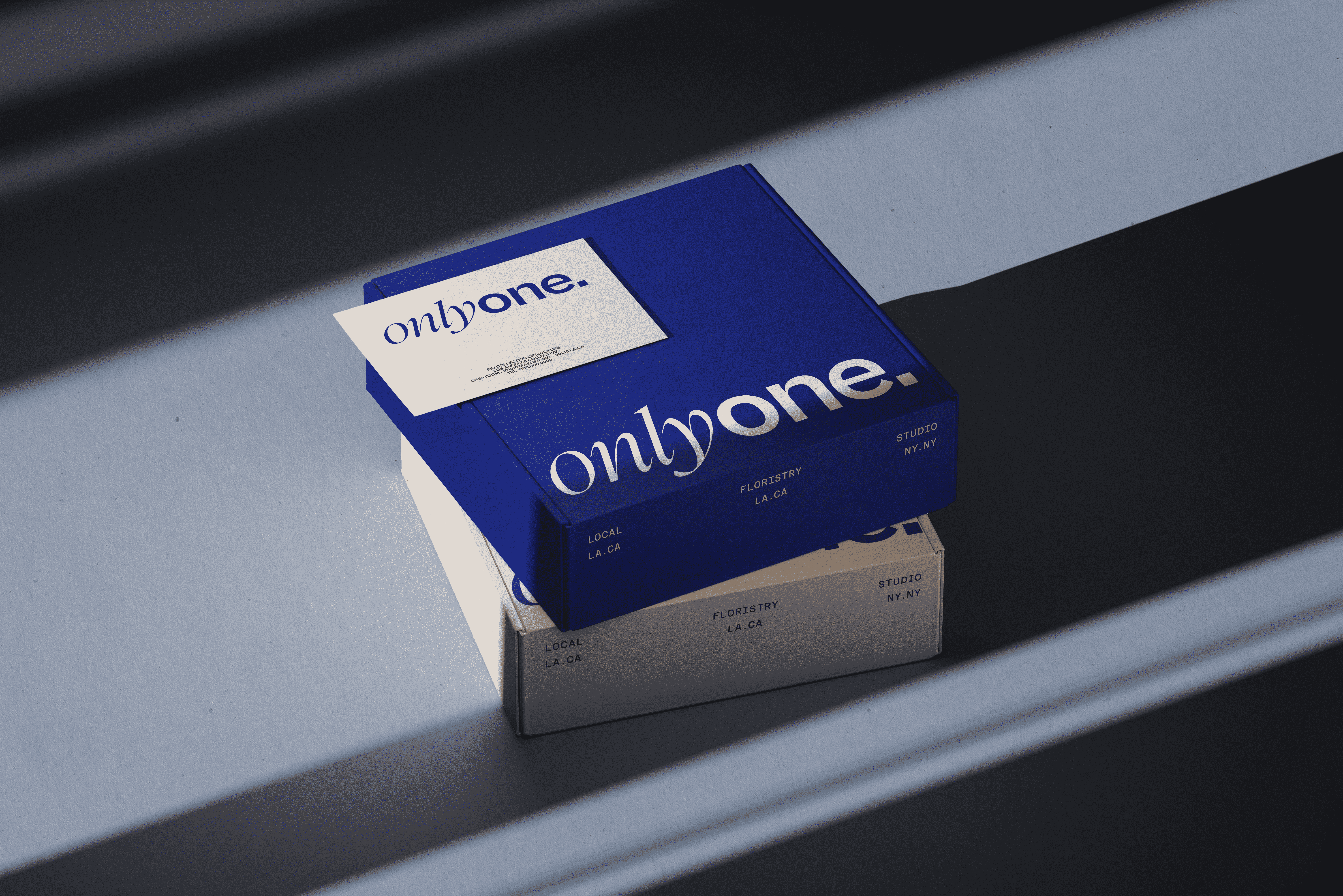 OnlyOne - packeging design 