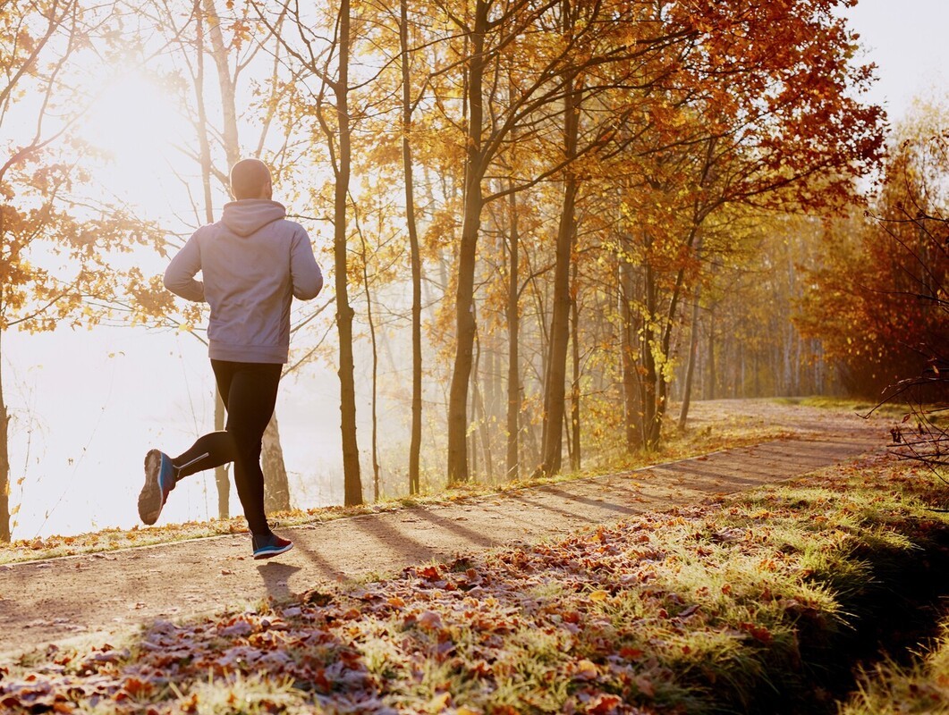lose body fat without losing weight