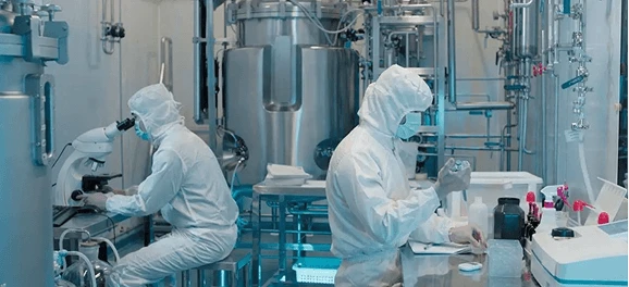 Biotech & Pharma