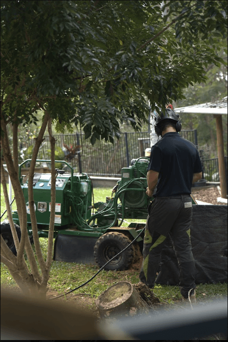 Operator removing a tree stump with a stump grinder