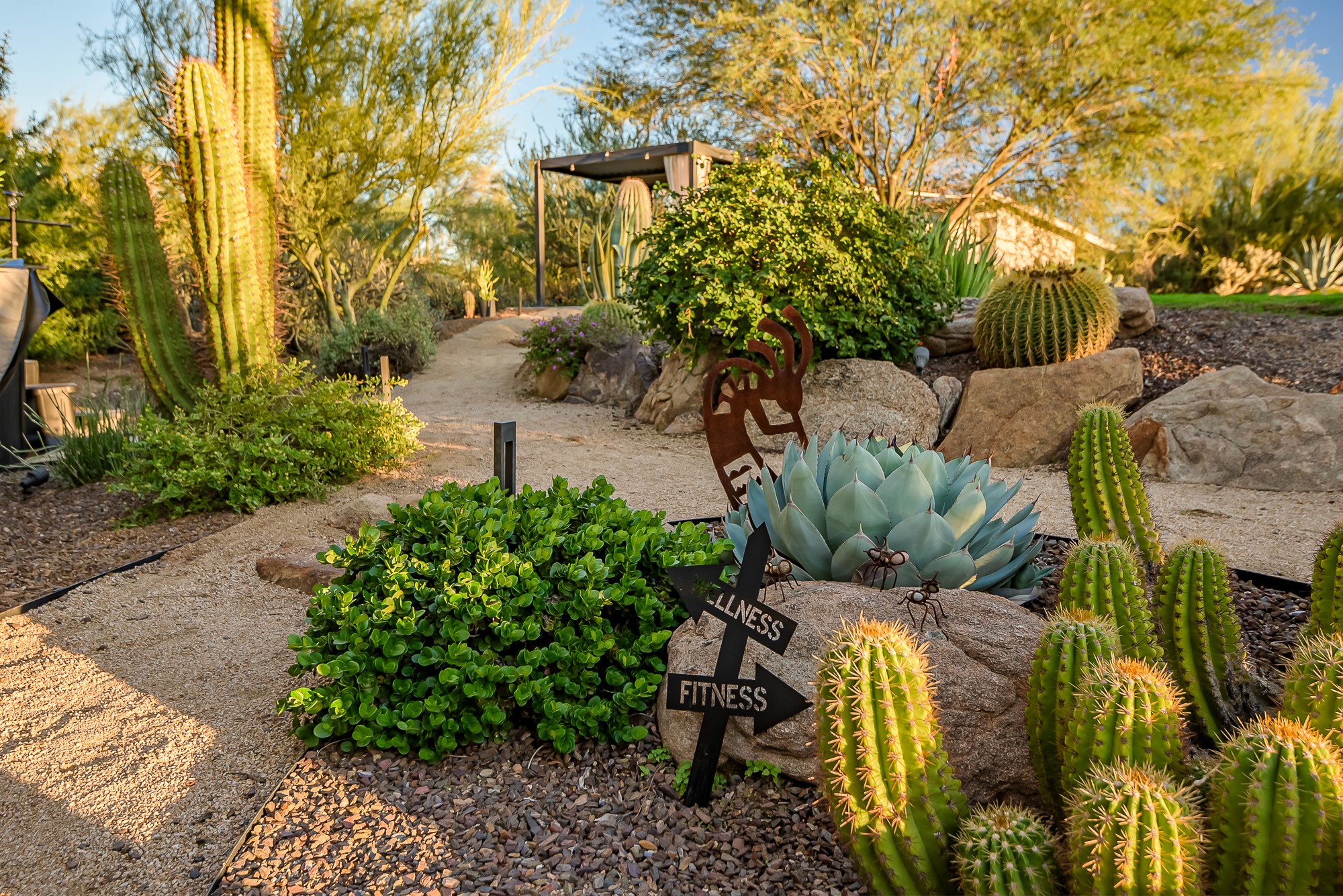 Desert Thermal Sanctuary