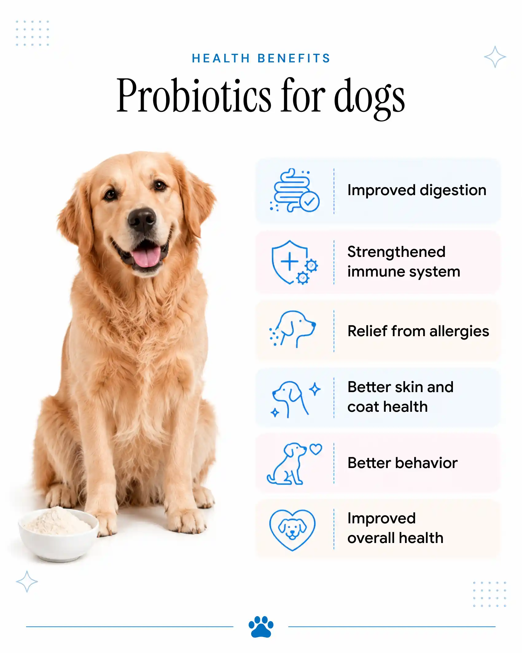 An infographic detailing the benefits of probiotics for dogs.