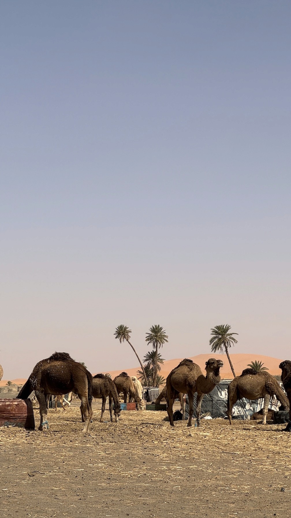 Пещеры возле Малаги посетим вместе