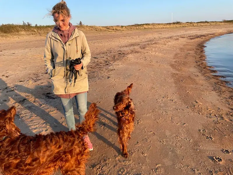 Hundpromenad med begagnad utrustning från Tassa och Trava – Bättre begagnat.