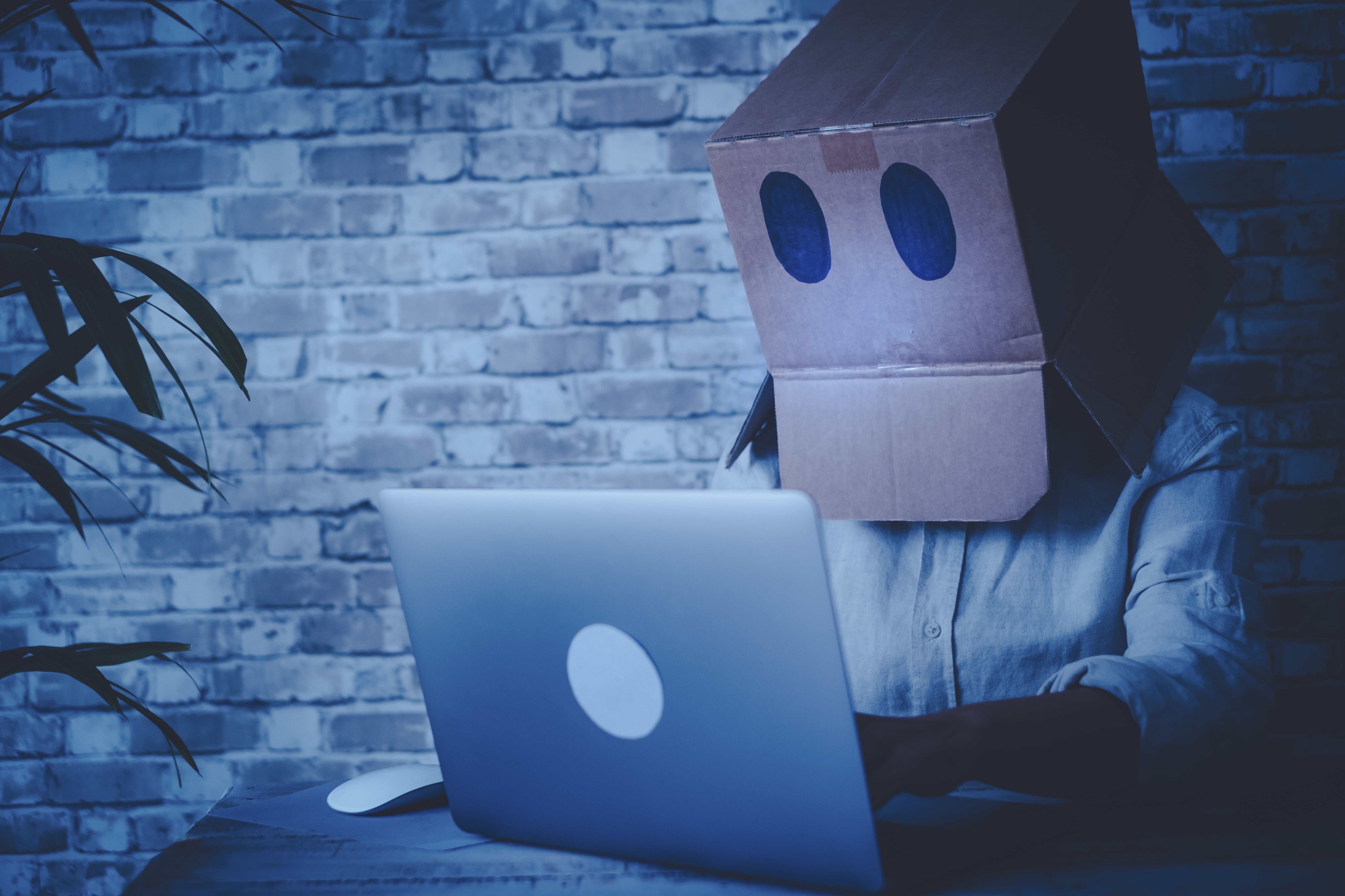 Person wearing cardboard box mask using laptop in dark room, symbolizing online anonymity or hacker identity