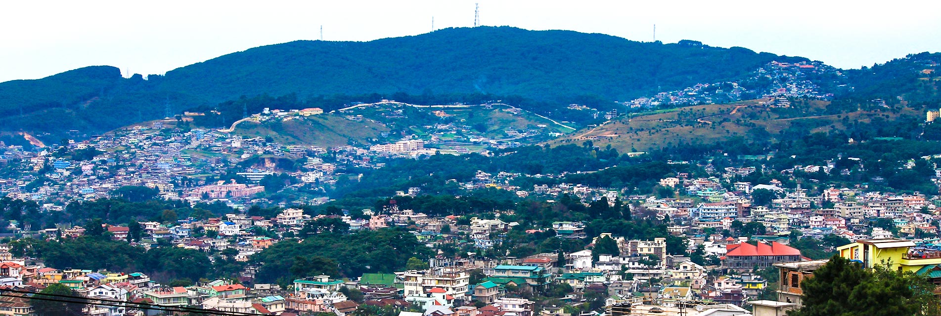 Chillibreeze is a role model