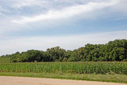 Photo 4 of 13.2 Acres County Hwy H, Ridgeway