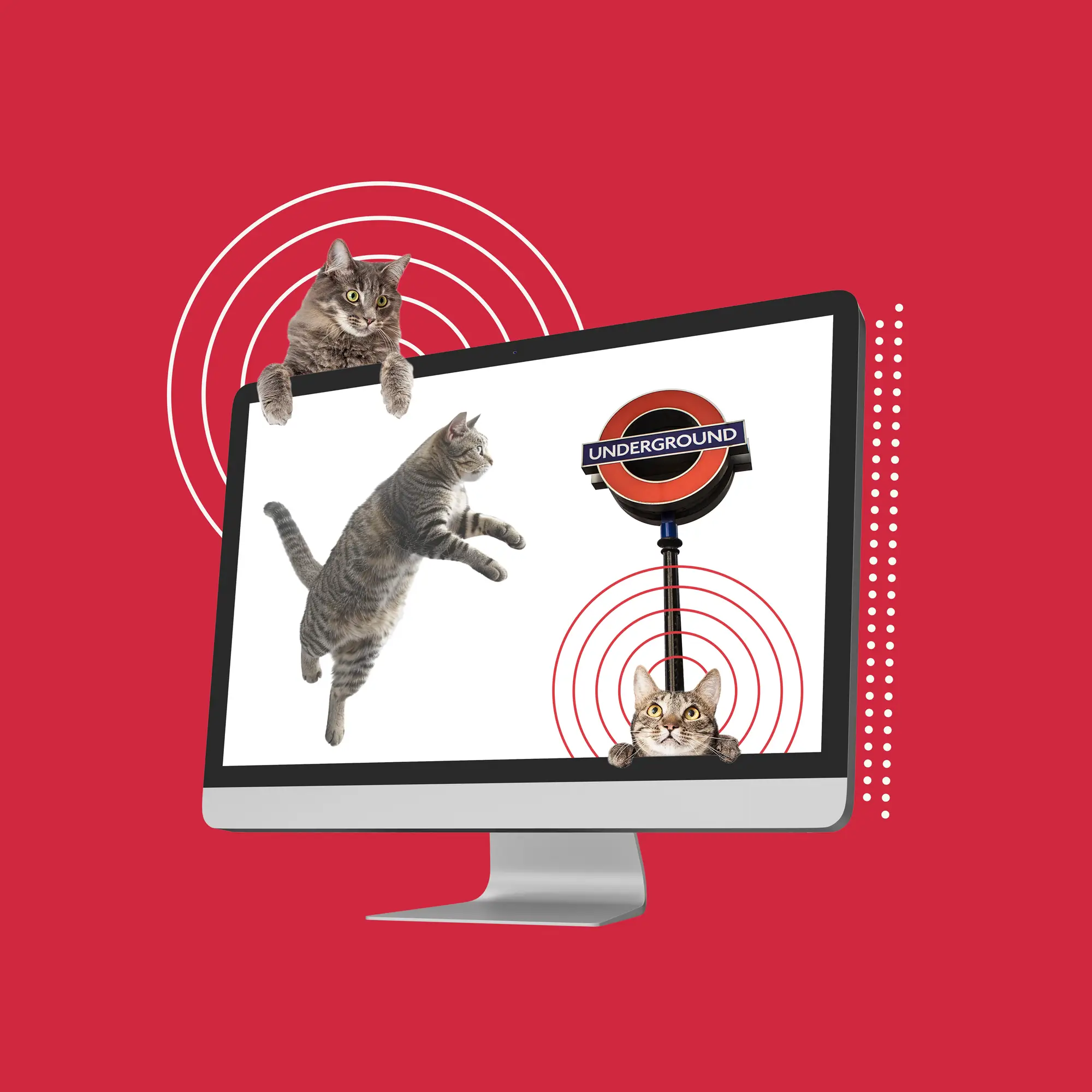 La creatividad publicitaria también puede ser una acción solidaria