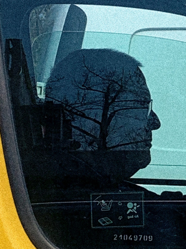 "Person in a car seen from the side, with a tree reflected in the window appearing to grow from their head"