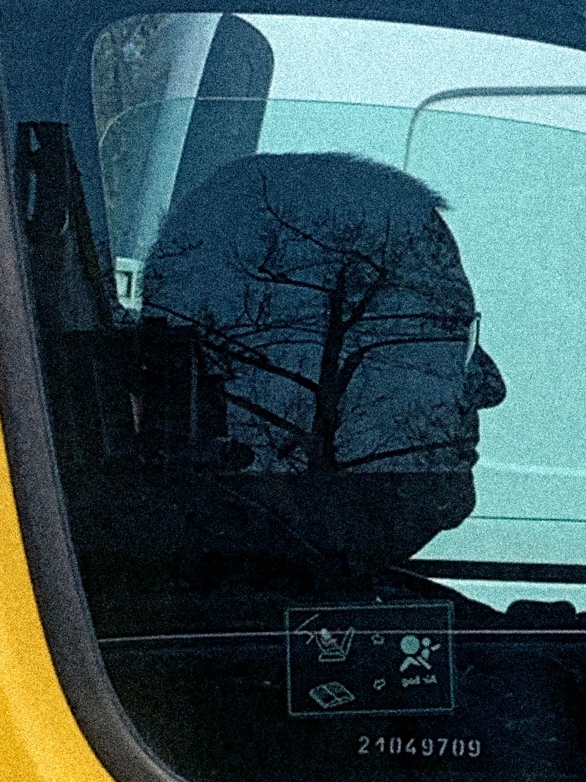 "Person in a car seen from the side, with a tree reflected in the window appearing to grow from their head"