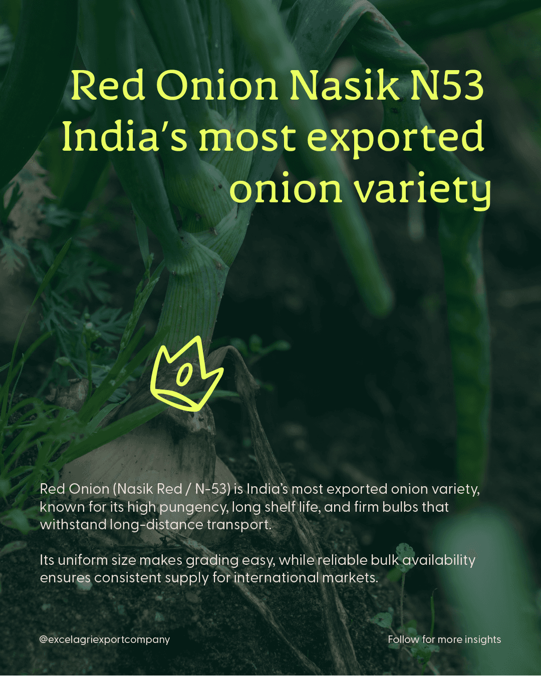 Shot of modern buildings