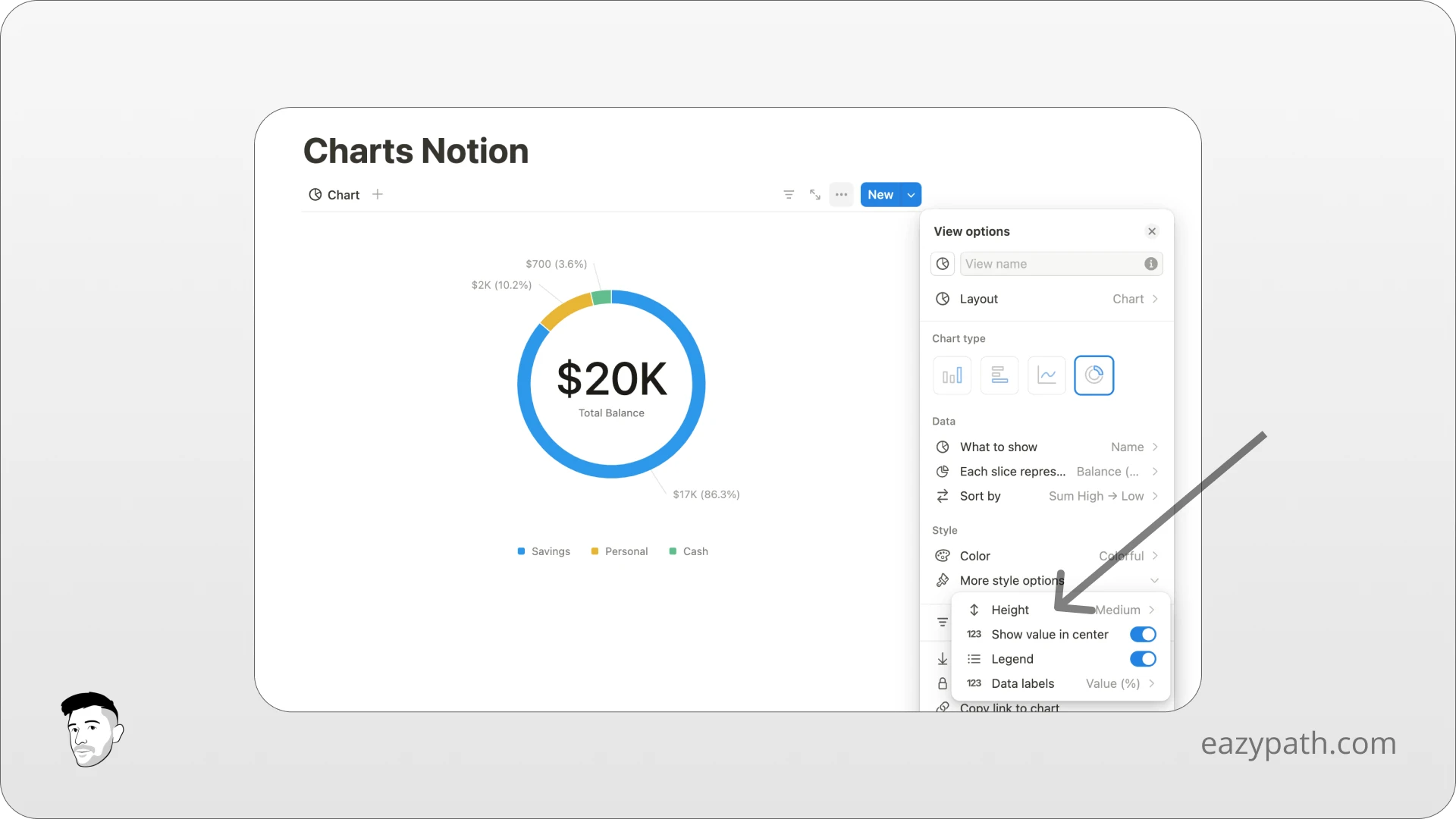 How to customize the Notion charts - Pie Chart