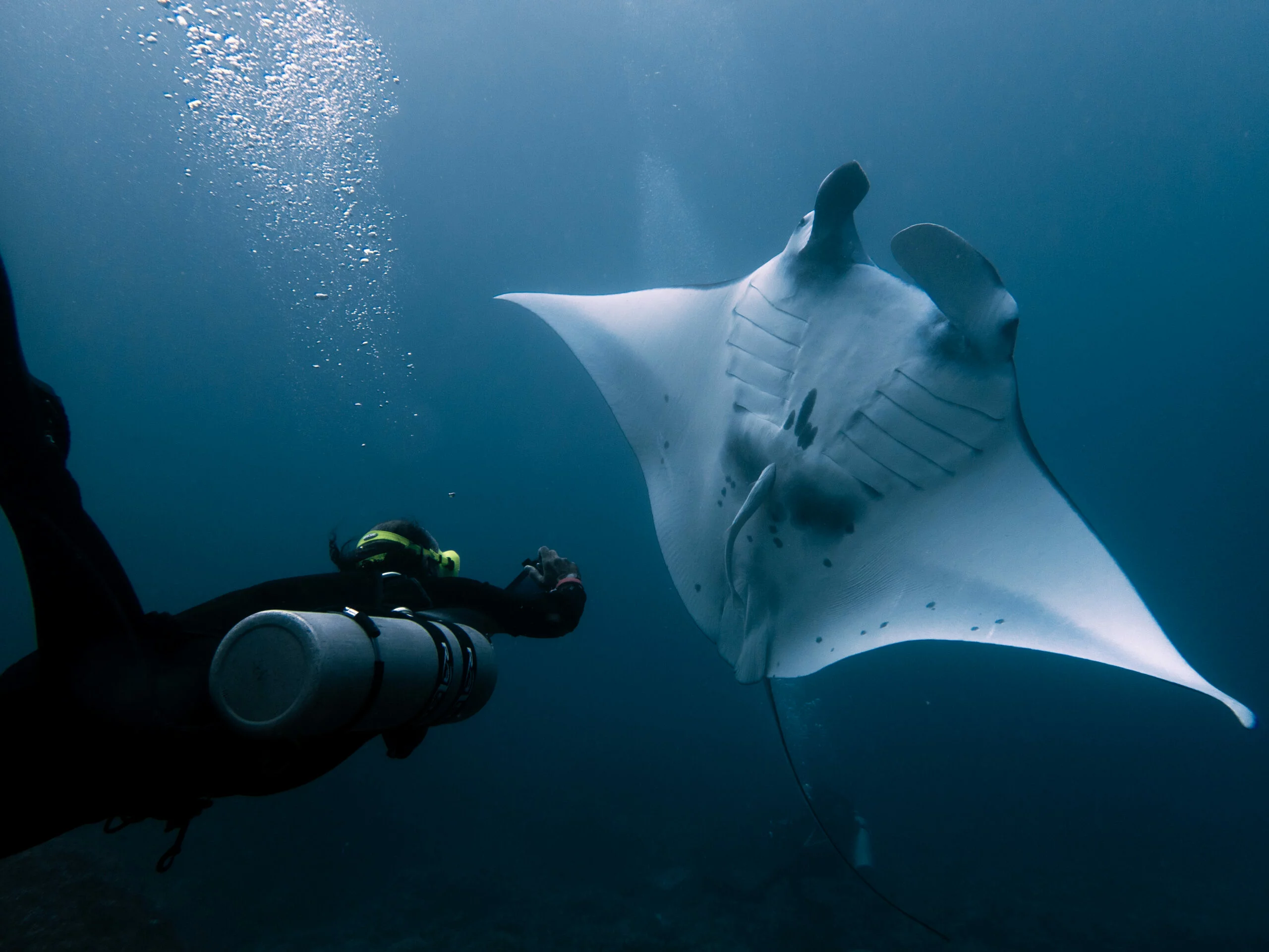 a pool with a table and chairs next to it