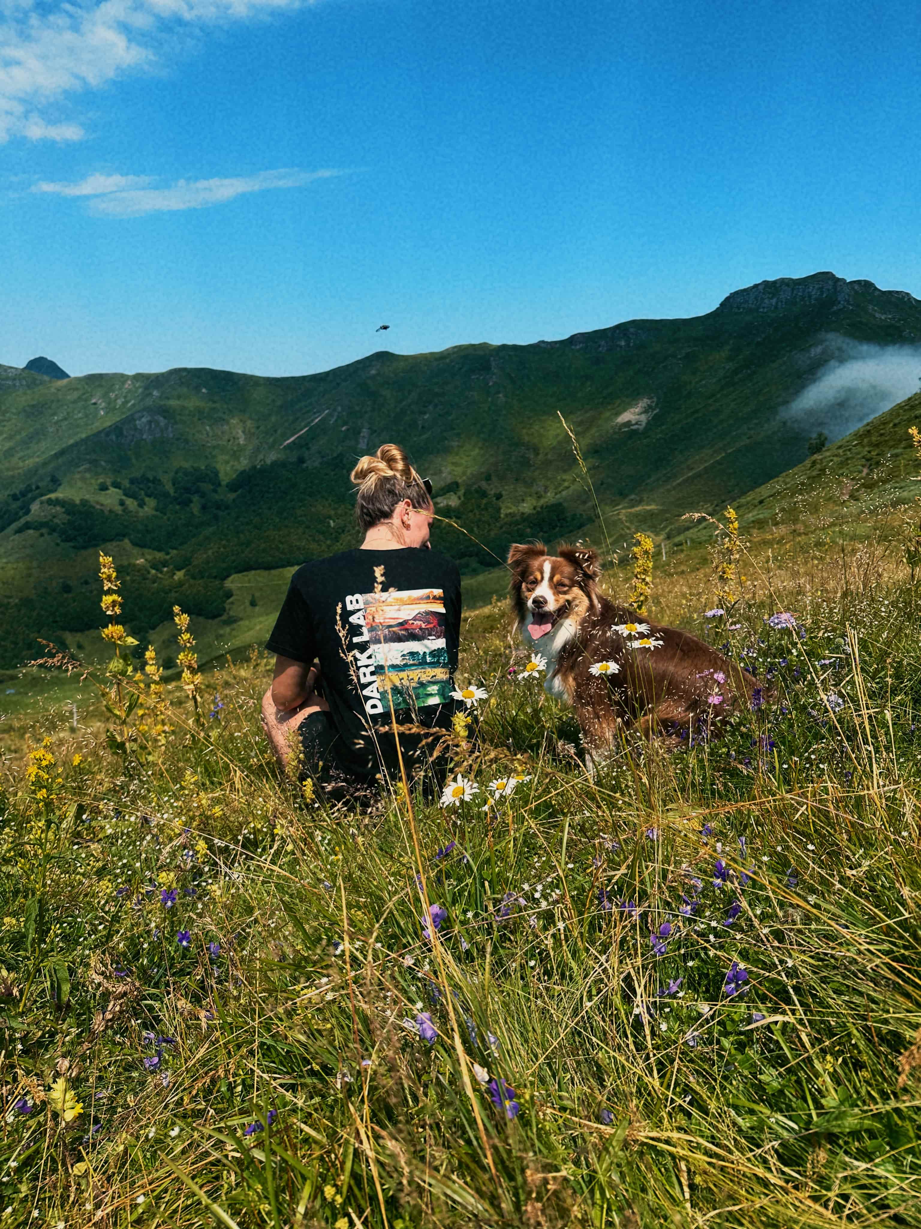 une personne portant un tshirt dark lab face à la montagne avec son chien 